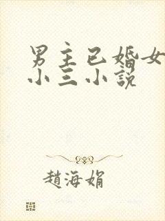 男主已婚女主是小三小说