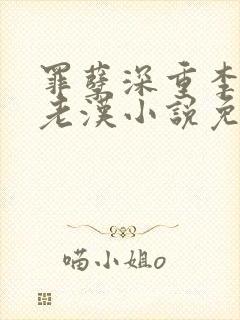 罪孽深重李茹王老汉小说免费全文