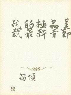 我的极品美女总裁最新章节