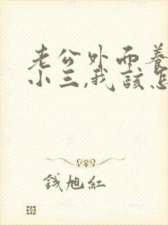 老公外面养了个小三,我该怎么办