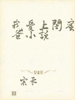 我爱上闺蜜的老爸小说