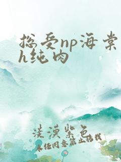 总受np海棠高h纯肉