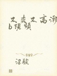 又爽又高潮的bb视频