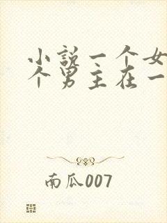 小说一个女主多个男主在一起