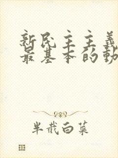 新民主主义革命最基本的动力是.