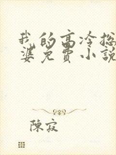 我的高冷总裁老婆免费小说