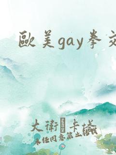 欧美gay拳交