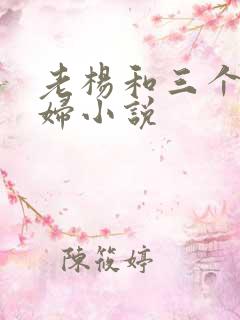 老杨和三个儿媳妇小说