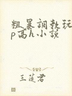 粗暴调教玩弄np高h小说