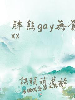 胖熊gay无套xx