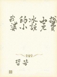 我的冰山总裁老婆小说免费