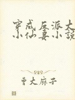 穿成反派大佬的小仙妻小说免费阅读