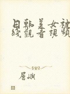 日韩美女被插在线观看视频