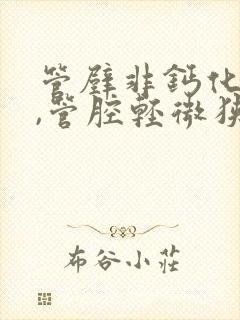 管壁非钙化斑块,管腔轻微狭窄是什么意思