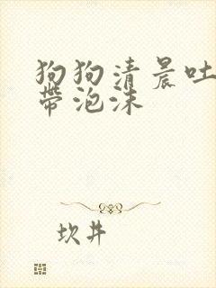 狗狗清晨吐黄水带泡沫