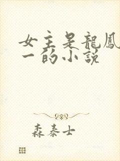 女主是龙凤胎之一的小说