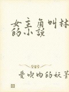 女主角叫林念念的小说