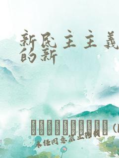 新民主主义革命的新