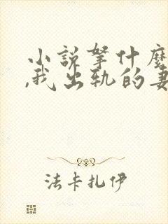 小说拿什么救你,我出轨的妻子