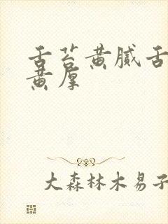 舌苔黄腻舌苔发黄厚