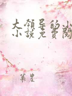 大领导的小妻子小说免费阅读