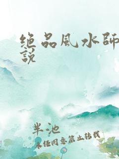 绝品风水师 小说