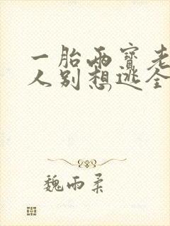 一胎两宝老婆大人别想逃全文阅读