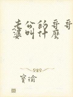 老公的哥哥的老婆叫什么