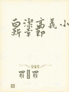 白洁高义小说最新章节