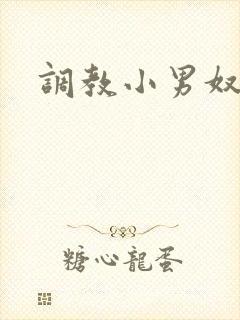 调教小男奴小说