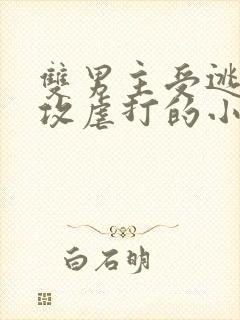 双男主受逃跑被攻虐打的小说