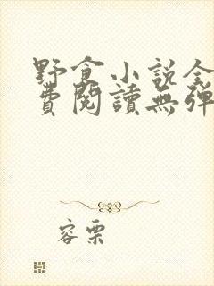 野食小说全文免费阅读无弹窗