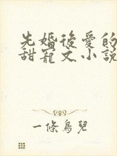 先婚后爱的短篇甜宠文小说