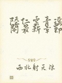 陆仁云青瑶笔趣阁最新章节