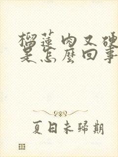 榴莲肉又硬又白是怎么回事