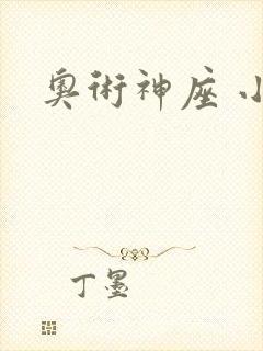 奥术神座 小说