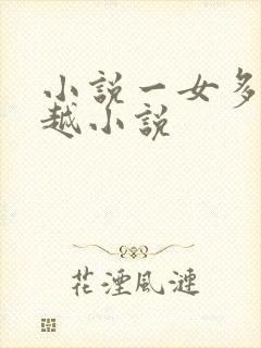 小说一女多夫穿越小说