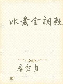 vk黄金调教