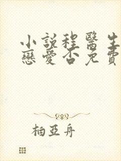 小说程医生谈个恋爱否免费阅读