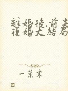 离婚后,前夫求复婚大结局