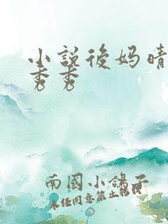 小说后妈晴姨李秀秀