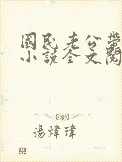 国民老公带回家小说全文阅读