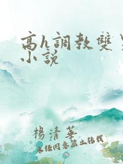 高h调教双男主小说