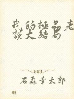 我的极品老婆小说大结局