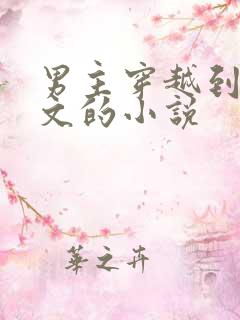 男主穿越到年代文的小说