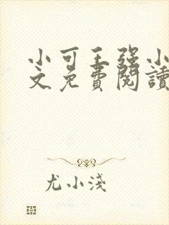 小可王强小说全文免费阅读