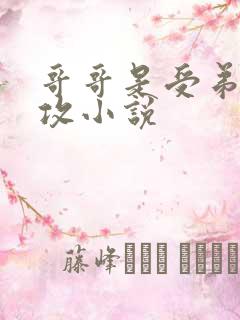 哥哥是受弟弟是攻小说