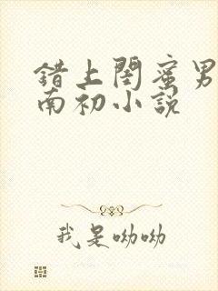 错上闺蜜男友沈南初小说