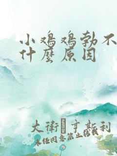 小鸡鸡勃不起来什么原因