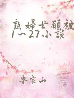 熟妇甘愿被调教1～27小说